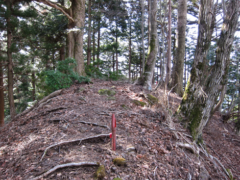 20200204hike (293)